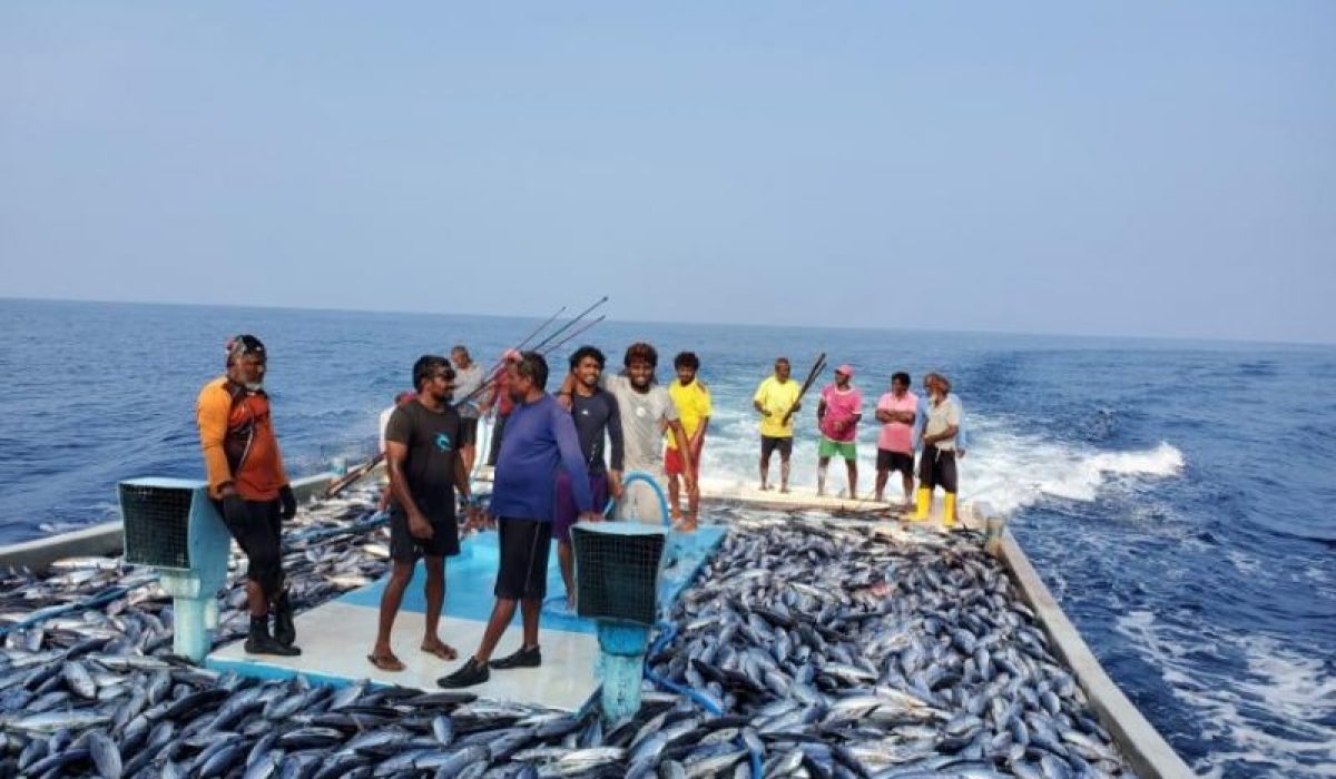 ދިވެހި މަސްވެރިންތަކެއް ހައްސަ ބާނައިގެން އައިން ދޫކޮށް މަސްކިރުވުމަށް ދަތުރުކުރަނީ-: ފޮޓޯ: މަސްވެރިން