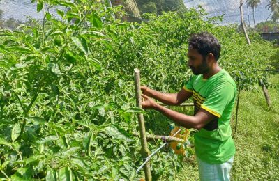 ކަނޑޫދޫގެ ޒުވާން ދަނޑުވެރިޔަކު މިރުސް ކޮއްޓެއްގެ ކުދިކުދި ކަންކަން ކޮށްލަނީ-: ފޮޓޯ: ކަނޑޫދޫ ކައުންސިލް