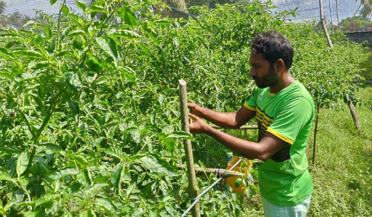 ކަނޑޫދޫގެ ޒުވާން ދަނޑުވެރިޔަކު މިރުސް ކޮއްޓެއްގެ ކުދިކުދި ކަންކަން ކޮށްލަނީ-: ފޮޓޯ: ކަނޑޫދޫ ކައުންސިލް