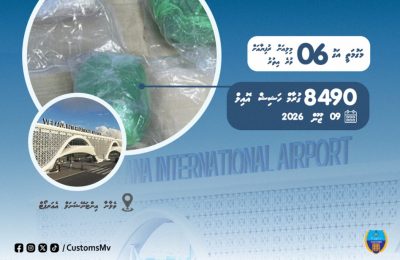 8kg Masthuvaathakethi Customs