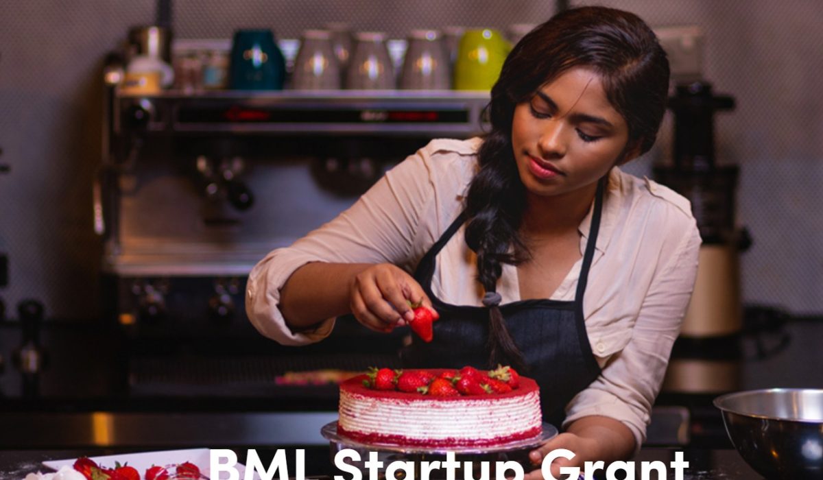 BML Startup Grant
