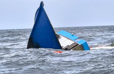 Dhoani
