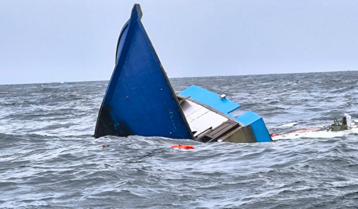 Dhoani
