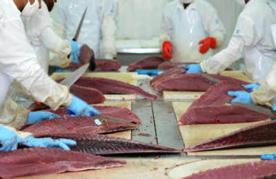 Fish Export