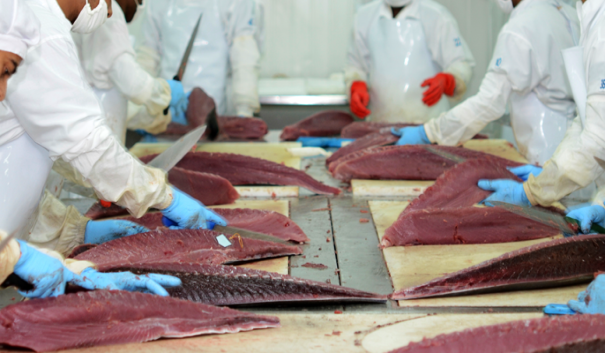 Fish Export