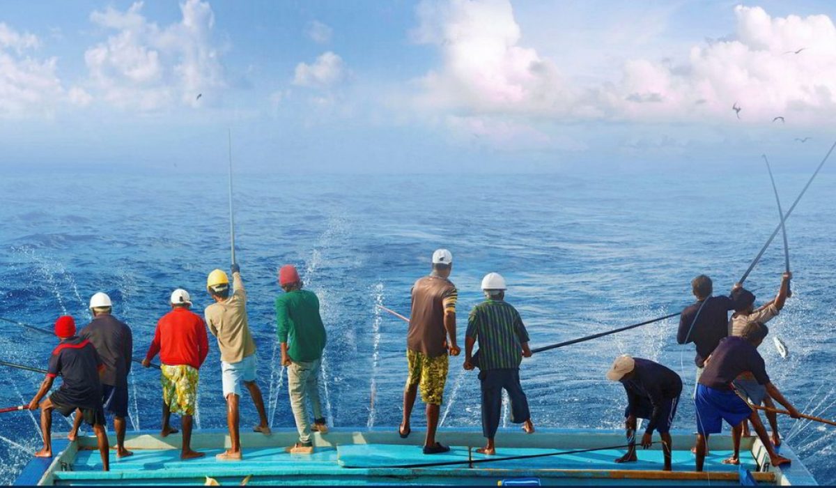 Fishing Education