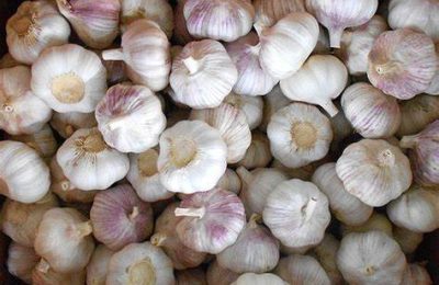 Garlic bag