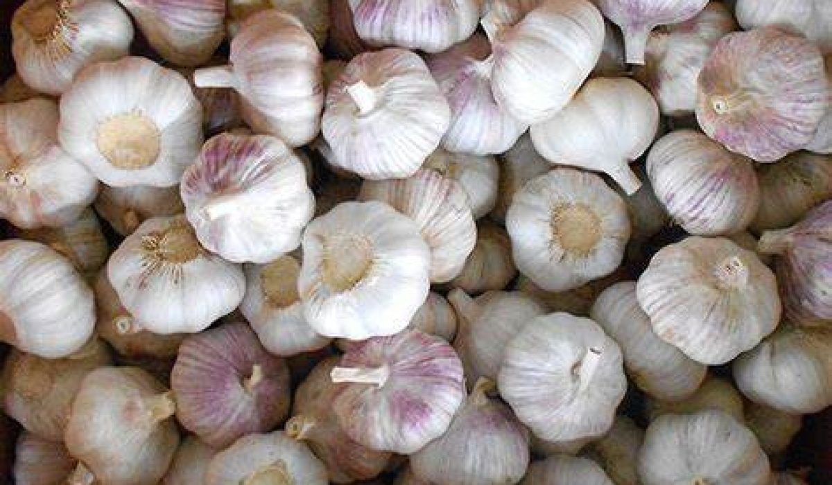 Garlic bag