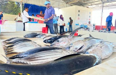 Hulhumale Fish Market (20)