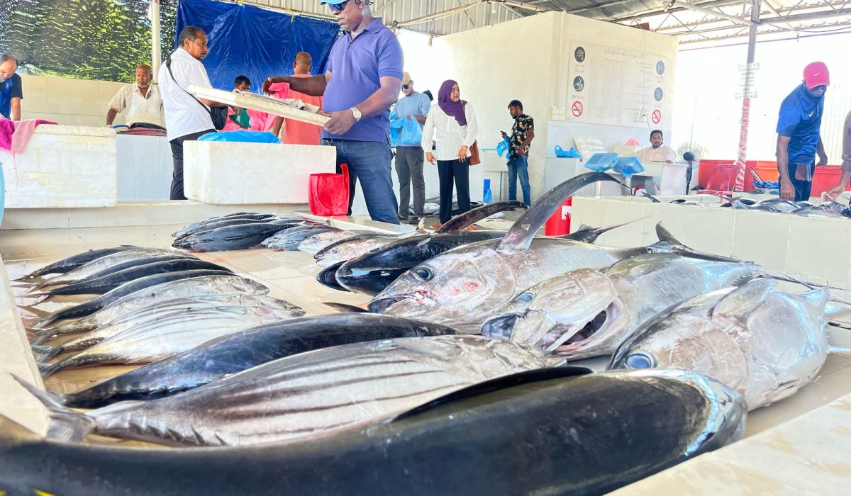 Hulhumale Fish Market (20)