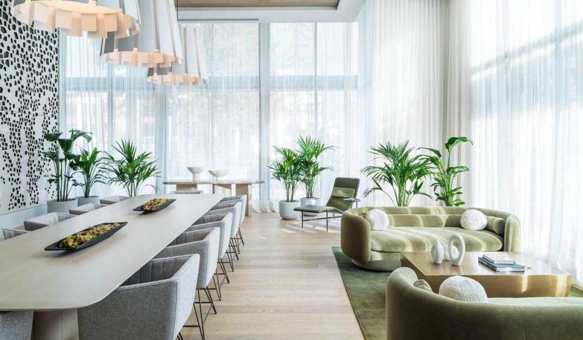 Indoor Plants