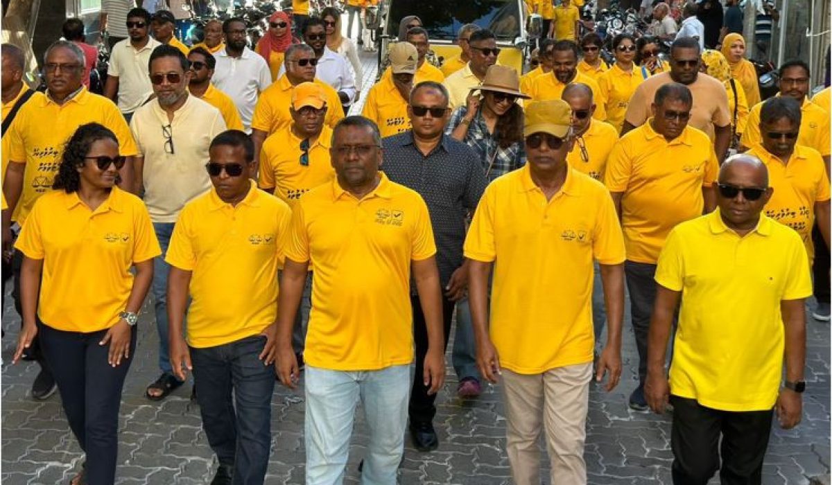 MDP