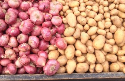 Potato Onion STO
