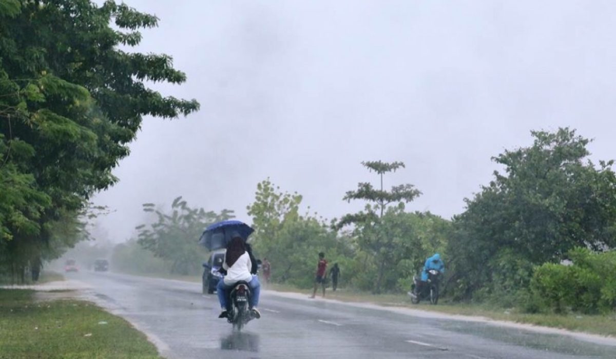 Rain