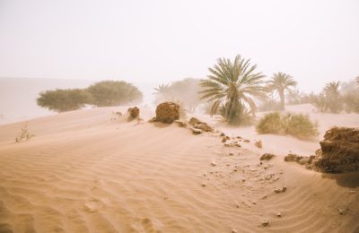 Salaf