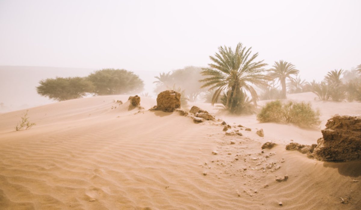 Salaf