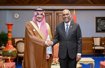 Saudi Fund CEO