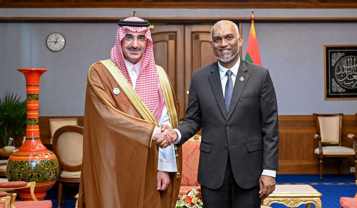 Saudi Fund CEO