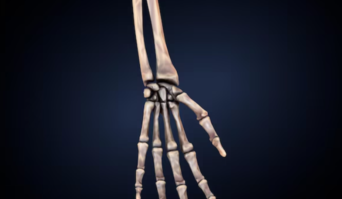 Skeleton