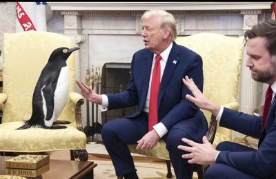 Trump Panguin