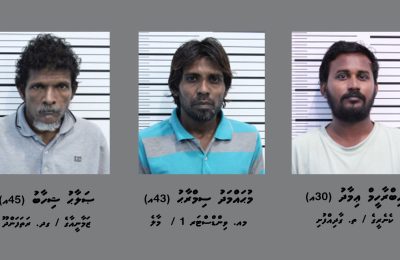 Villimale_dru