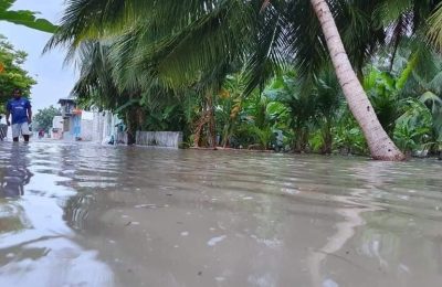 ނަރުދޫއަށް ރޭގެ ދަންވަރު އުދައަރައި، ހެނދުނުވެގެން ދިޔައިރުވެސް ލޮނުގަނޑު ނުހިކި-: ފޮޓޯ: ކިޔުންތެރިން