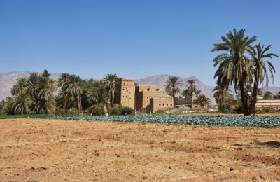 arabin
