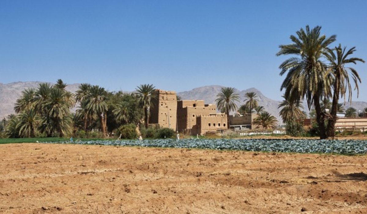 arabin