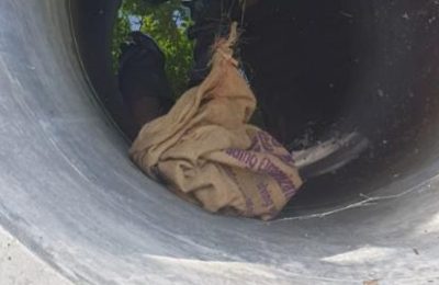 dhangethi