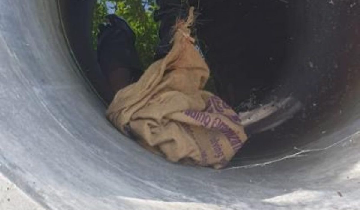 dhangethi
