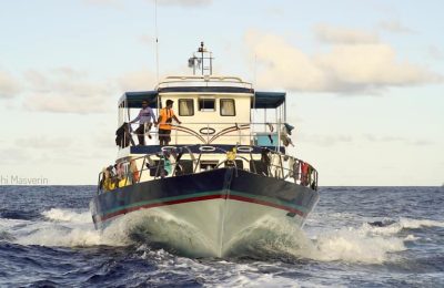 dhoani 2
