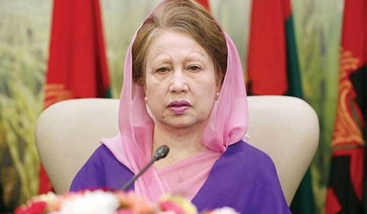 haldha Zia