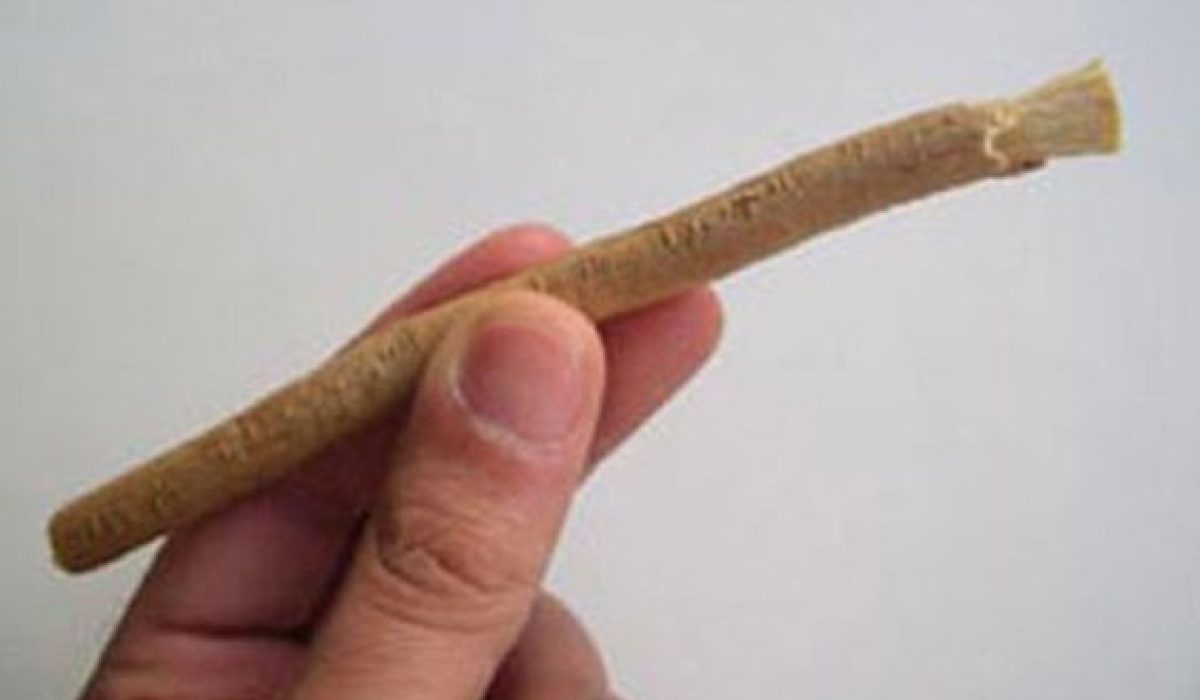 sivaku dhandi